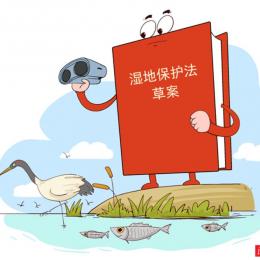 <strong>湿地保护法草案二审 中国拟加码保护“地球之肾”</strong>